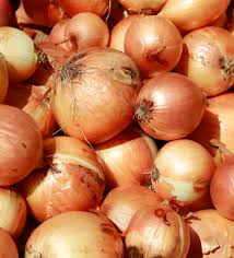 Fresh red onions ready for agricultural export